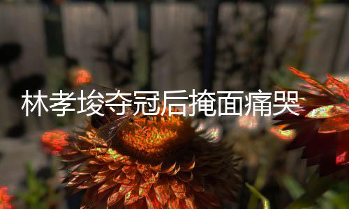 林孝埈奪冠后掩面痛哭，一段動人的勝利傳奇