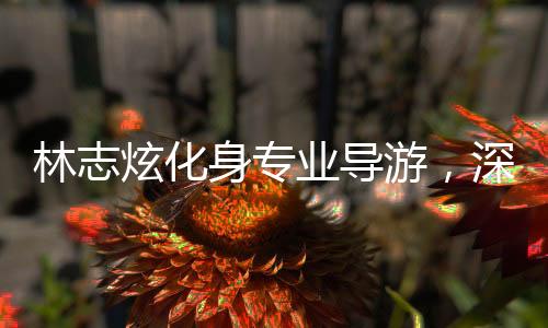 林志炫化身專業(yè)導(dǎo)游，深度解讀拙政園之美
