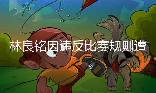 林良銘因違反比賽規(guī)則遭遇紅牌罰下——賽場(chǎng)爭(zhēng)議事件分析