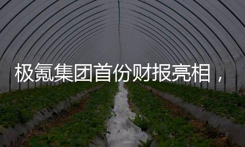 極氪集團首份財報亮相，營收突破千億大關，展現(xiàn)強勁增長勢頭
