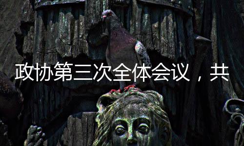 政協(xié)第三次全體會(huì)議，共商國是，聚焦發(fā)展