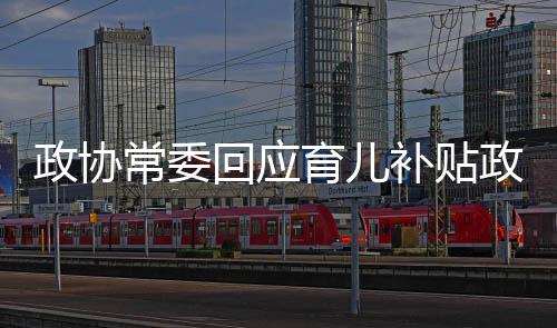 政協(xié)常委回應(yīng)育兒補(bǔ)貼政策難點(diǎn)