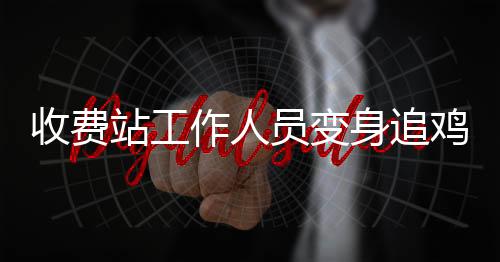 收費站工作人員變身追雞者，一場意外的田園冒險