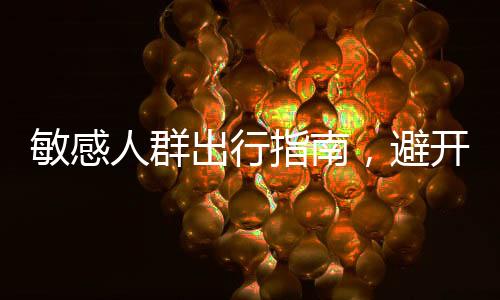 敏感人群出行指南，避開高峰時(shí)段的智慧選擇