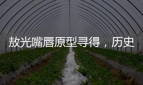 敖光嘴唇原型尋得，歷史與藝術(shù)的美妙交融