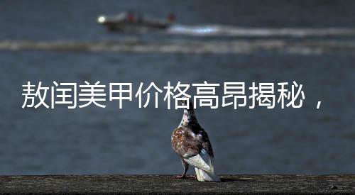 敖閏美甲價(jià)格高昂揭秘，優(yōu)質(zhì)美甲的背后故事