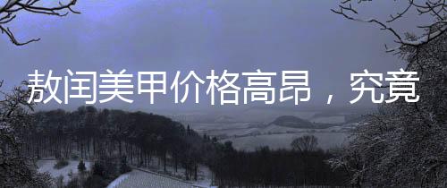 敖閏美甲價格高昂，究竟隱藏何種獨特價值？