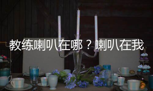 教練喇叭在哪？喇叭在我嘴里，嗶