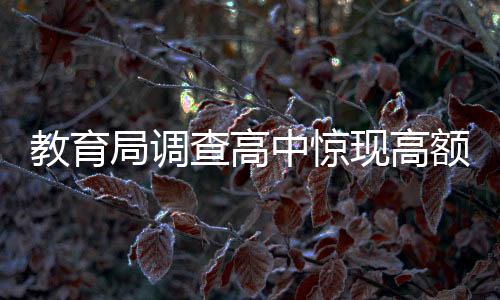 教育局調(diào)查高中驚現(xiàn)高額打印費(fèi)事件，涉及背后的真相與深思