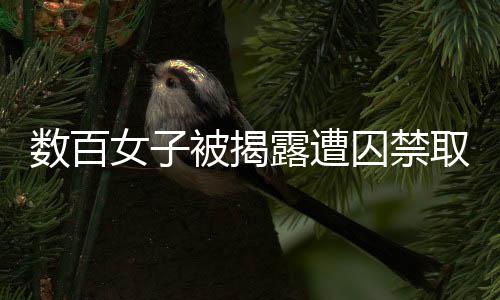 數(shù)百女子被揭露遭囚禁取卵事件，揭示非法人體器官交易黑暗鏈的驚人內(nèi)幕