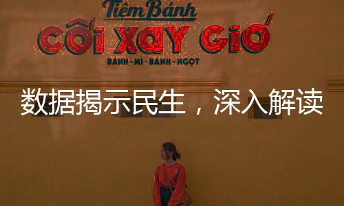 數(shù)據(jù)揭示民生，深入解讀社會(huì)動(dòng)態(tài)與人民生活變遷