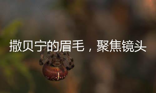 撒貝寧的眉毛，聚焦鏡頭下的獨特魅力