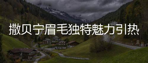 撒貝寧眉毛獨特魅力引熱議，與蠟筆小新神似現(xiàn)象探討