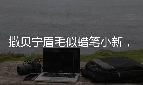 撒貝寧眉毛似蠟筆小新，網(wǎng)友熱議與形象魅力探討