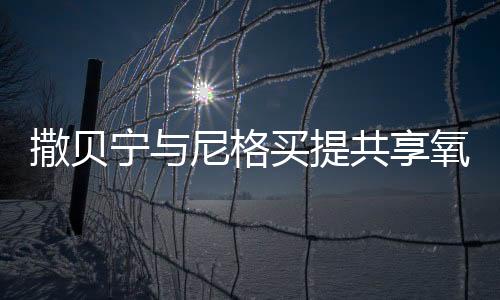 撒貝寧與尼格買提共享氧氣瓶，一段探險(xiǎn)旅程的生動(dòng)見證
