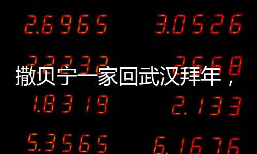 撒貝寧一家回武漢拜年，外籍妻子搶眼——媒體熱議的名人回鄉(xiāng)時(shí)刻