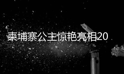 柬埔寨公主驚艷亮相2025云南春晚，文化交融之夜熠熠生輝