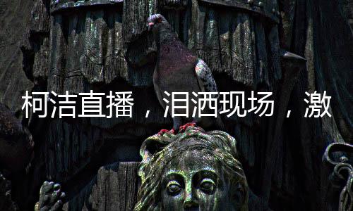 柯潔直播，淚灑現(xiàn)場(chǎng)，激戰(zhàn)金鏟鏟之戰(zhàn)