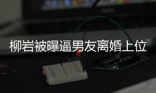 柳巖被曝逼男友離婚上位真相揭秘