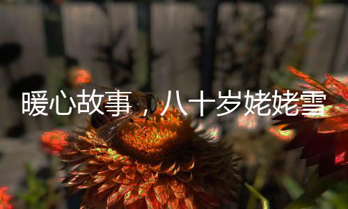 暖心故事，八十歲姥姥雪路鏟三公里接女孩回家