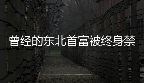 曾經(jīng)的東北首富被終身禁入證券市場，揭幕財富風(fēng)云背后的警示故事