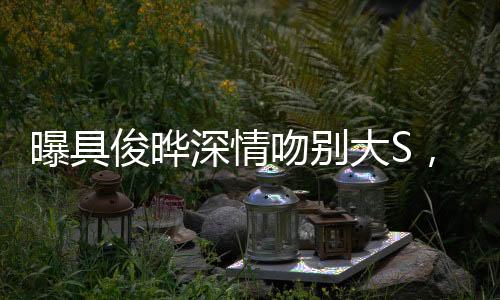 曝具俊曄深情吻別大S，兩段異國戀情中的難舍難分