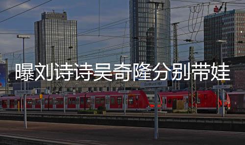 曝劉詩詩吳奇隆分別帶娃不同框，家庭日常引熱議