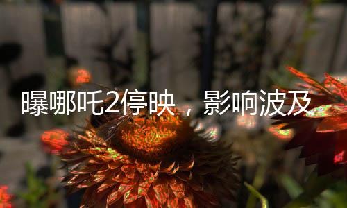 曝哪吒2停映，影響波及300家影院，業(yè)界熱議背后原因