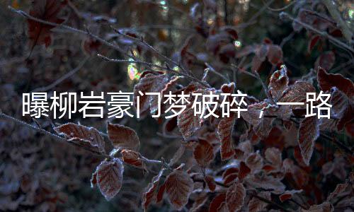 曝柳巖豪門夢(mèng)破碎，一路跌宕起伏的心路歷程