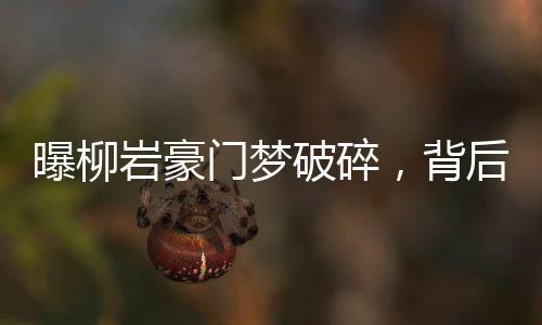 曝柳巖豪門夢破碎，背后的故事引人深思