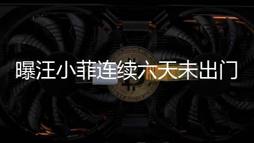 曝汪小菲連續(xù)六天未出門，S媽回應