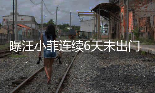 曝汪小菲連續(xù)6天未出門，引發(fā)關注熱議，S媽回應傳聞