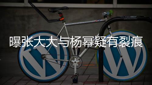 曝張大大與楊冪疑有裂痕，昔日友情或已告一段落？