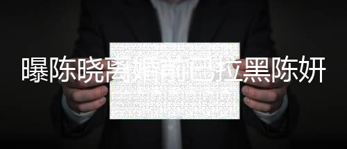 曝陳曉離婚前已拉黑陳妍希，一段婚姻走向終結(jié)的背后故事