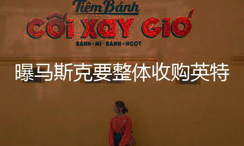 曝馬斯克要整體收購英特爾！公司股價(jià)暴漲近10%