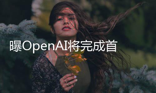 曝OpenAI將完成首款自研芯片設(shè)計(jì) 計(jì)劃由臺(tái)積電代工
