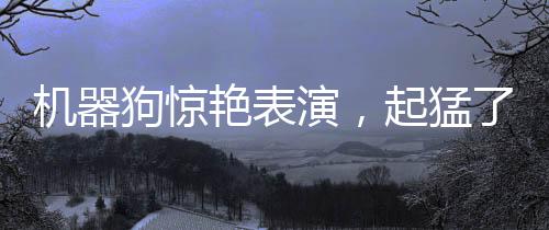 機器狗驚艷表演，起猛了，舞動科技之魅