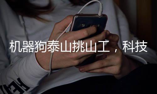 機(jī)器狗泰山挑山工，科技助力旅游新篇章