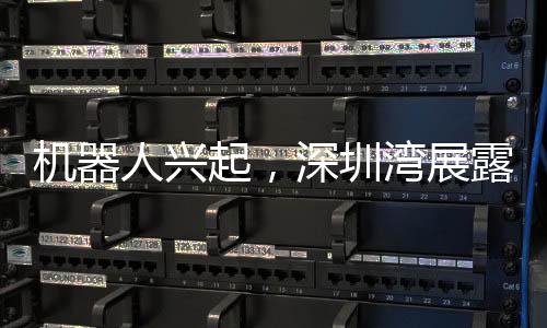 機器人興起，深圳灣展露科技新風(fēng)貌——機器人在深圳灣跑步的嶄新篇章
