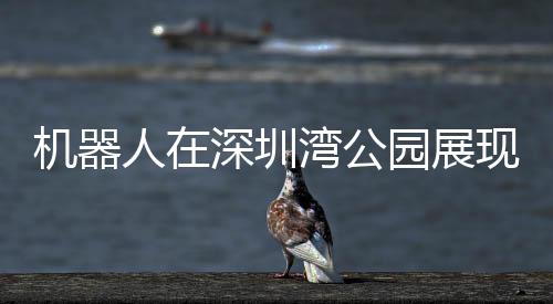 機(jī)器人在深圳灣公園展現(xiàn)新風(fēng)貌，跑步競賽的新時(shí)代篇章