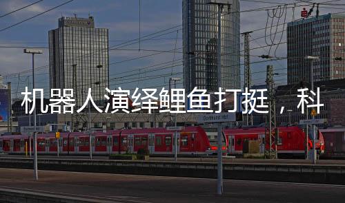 機(jī)器人演繹鯉魚打挺，科技賦予力量，被推倒后瞬間起身