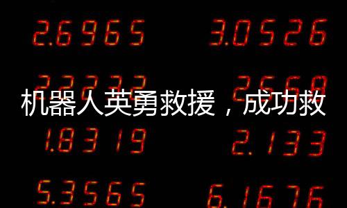 機(jī)器人英勇救援，成功救出三名落水游客