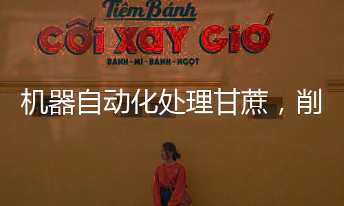 機(jī)器自動化處理甘蔗，削皮切段一氣呵成，提升生產(chǎn)效率與作業(yè)安全