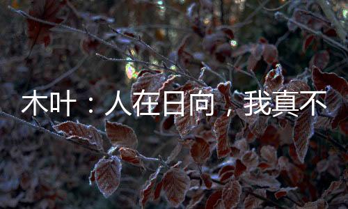 木葉：人在日向，我真不是老六啊