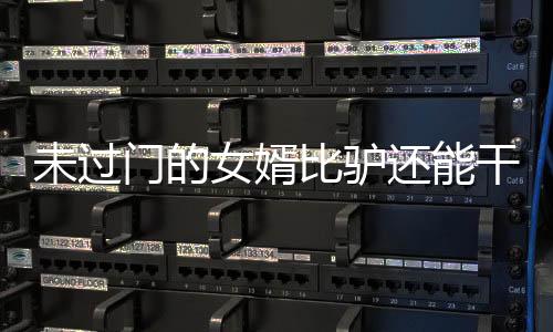 未過門的女婿比驢還能干——記一段新時(shí)代下的佳話傳奇