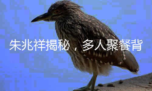 朱兆祥揭秘，多人聚餐背后的真實目的，究竟是為了見胡靜？
