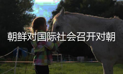 朝鮮對國際社會召開對朝制裁會議表示強烈譴責