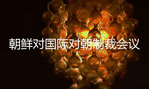 朝鮮對國際對朝制裁會議的態(tài)度分析