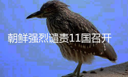 朝鮮強烈譴責(zé)11國召開對朝制裁會議，國際社會應(yīng)對朝政策進(jìn)行反思