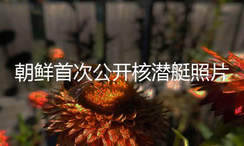 朝鮮首次公開(kāi)核潛艇照片，揭示的深層意義與未來(lái)展望
